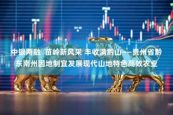 中银两融  苗岭新风采 丰收满黔山——贵州省黔东南州因地制宜发展现代山地特色高效农业