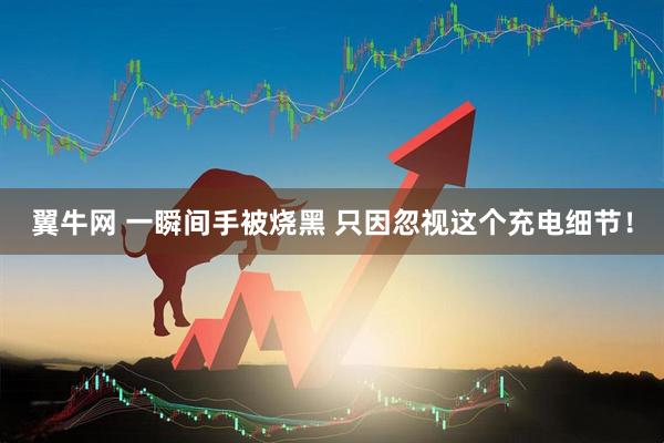 翼牛网 一瞬间手被烧黑 只因忽视这个充电细节！