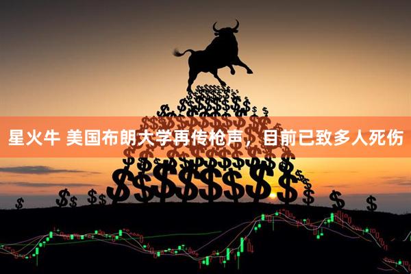星火牛 美国布朗大学再传枪声，目前已致多人死伤