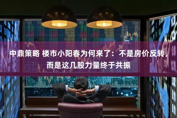 中鼎策略 楼市小阳春为何来了：不是房价反转，而是这几股力量终于共振
